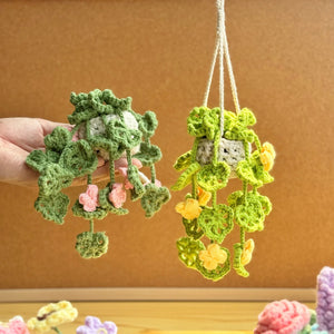 Hanging Plant Crochet Pattern