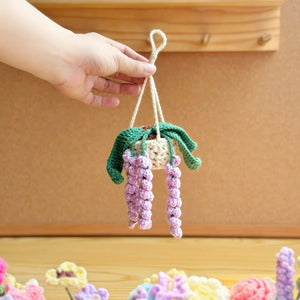 Hanging Plant Crochet Pattern