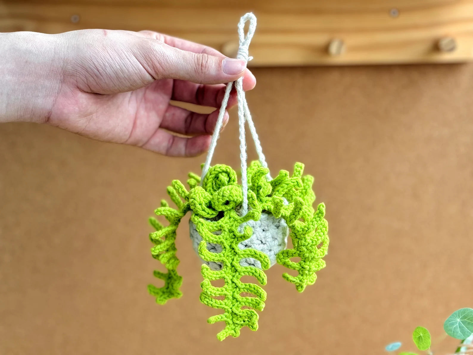 Hanging Plant Crochet Pattern